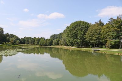 Etang_après_travaux_été_2018_feignies