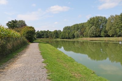 Etang_après_travaux_été_2018_feignies