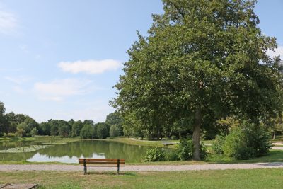 Etang_après_travaux_été_feignies